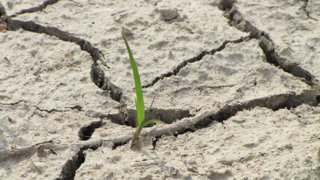 Crack in my wall