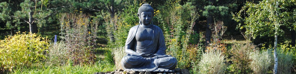 Buddha in my garden