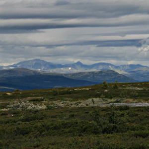 Per Gynt veien over fjellet